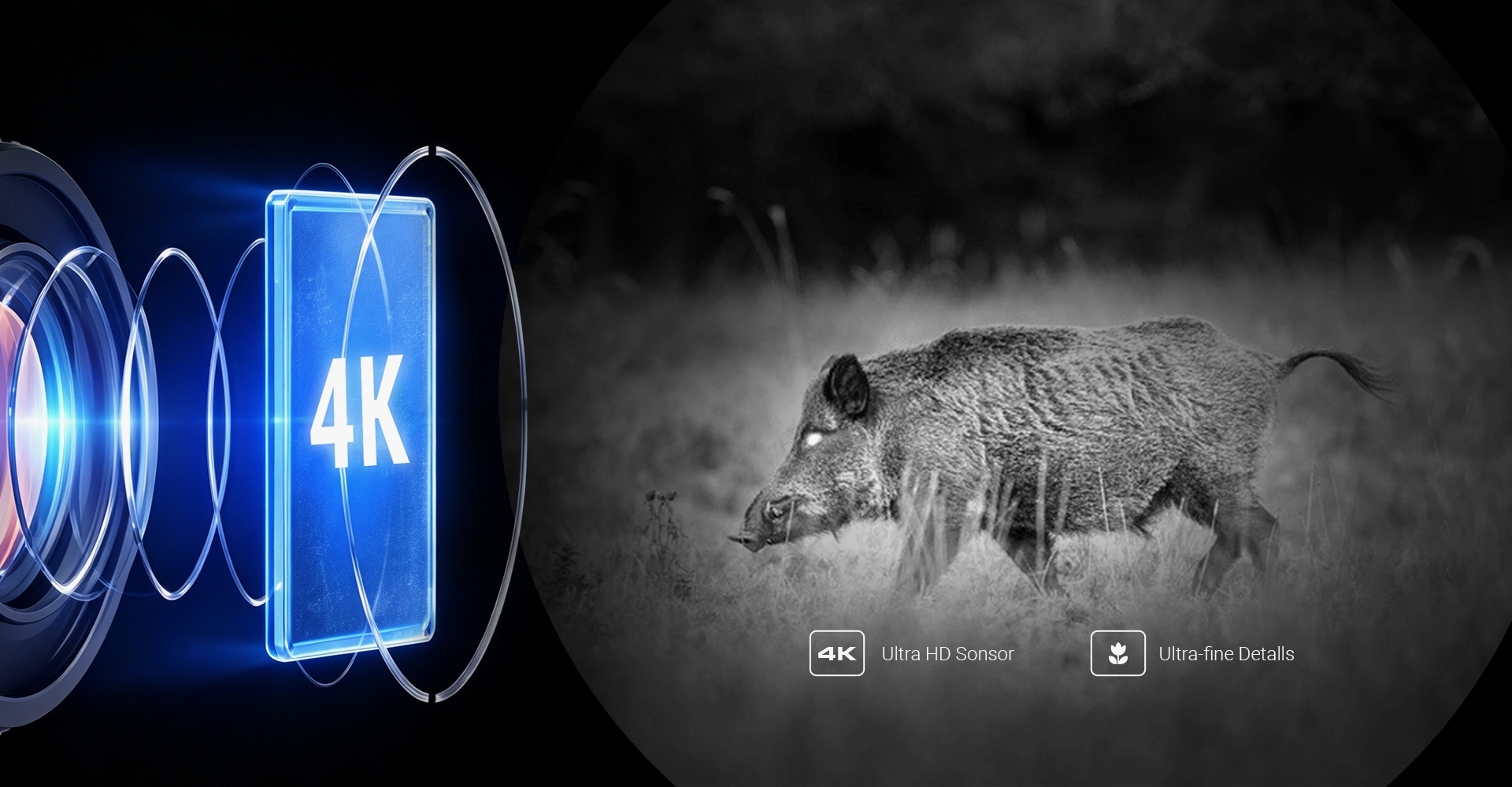 Sensor de visión nocturna 4K de los PARD Osprey 4K 384